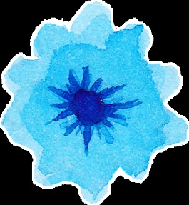 簡(jiǎn)約水墨花卉卡通透明素材