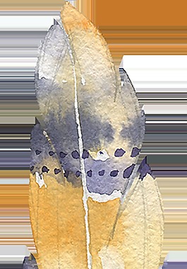 古代水墨弓箭卡通透明素材