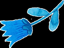 藍(lán)色花瓣卡通透明素材