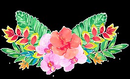 自由花叢卡通透明素材