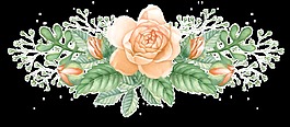 迷人玫瑰花卡通透明素材