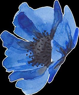 藍(lán)色彩色花卉卡通透明素材
