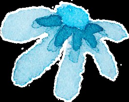 藝術(shù)花蕾卡通透明素材