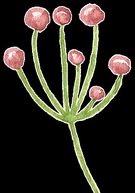 可愛花卉卡通透明素材