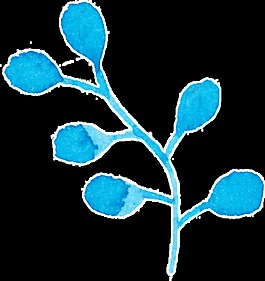 大氣藍(lán)色花卉卡通透明素材