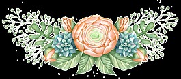 綻放花卉卡通透明素材
