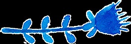 風(fēng)雪藍(lán)花卡通透明素材
