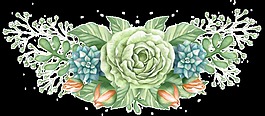 綠色繪畫花卉卡通透明素材