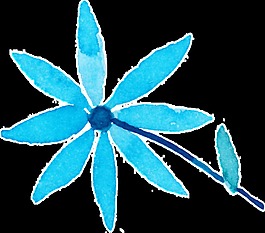 冰心花朵卡通透明素材