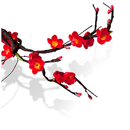 手繪中國風紅梅png元素素材