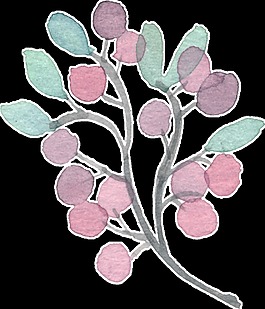 迷人花卉卡通透明素材