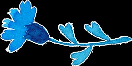 藝術蘭花卡通透明素材