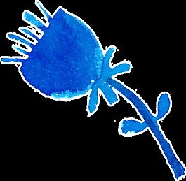 水藍(lán)花束卡通透明素材