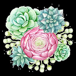唯美盛開花卉卡通透明素材