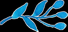 冰藍桃花卡通透明素材