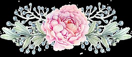 高貴花卉卡通透明素材