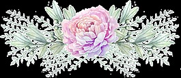 芬芳花卉卡通透明素材
