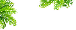 手繪綠葉針葉元素