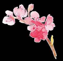 開心桃花卡通透明裝飾素材