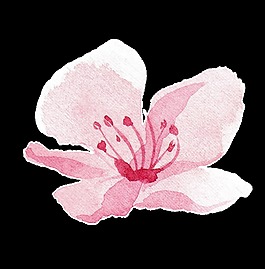 桃心花束卡通透明裝飾素材