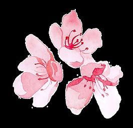 花朵蝴蝶卡通透明裝飾素材