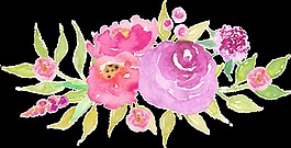 眉粉花蕊卡通透明装饰素材