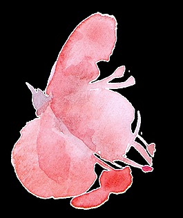 藝術(shù)花蕊卡通透明裝飾素材