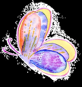 卡其蝴蝶通透明裝飾素材