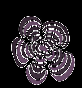 波紋花瓣卡通透明裝飾素材