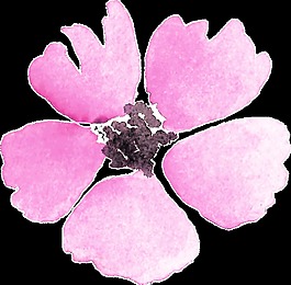 五葉花瓣卡通透明裝飾素材