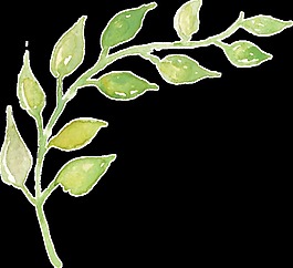 飛揚(yáng)枝葉卡通透明裝飾素材