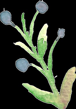 藍(lán)色蘑菇卡通透明裝飾素材