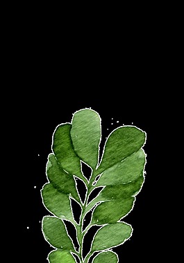 深綠枝葉卡通透明裝飾素材