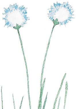 藍(lán)粉花葉卡通透明裝飾素材