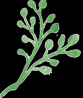 綠色水墨植物卡通透明裝飾素材