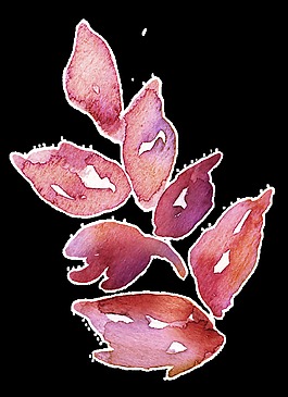 藝術(shù)水彩樹葉卡通透明裝飾素材