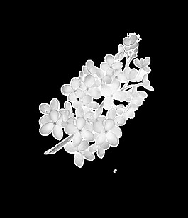 灰色花卉卡通透明裝飾素材