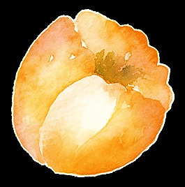 古典植物卡通透明裝飾素材