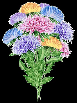 手繪彩色花束png透明素材