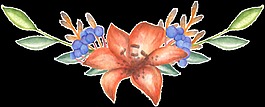 條紅花葉卡通透明裝飾素材