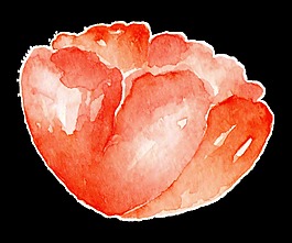 紅色元素花卉卡通透明裝飾素材