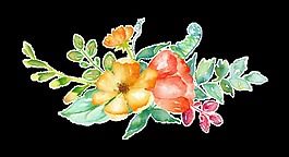 通黃花瓣卡通透明裝飾素材
