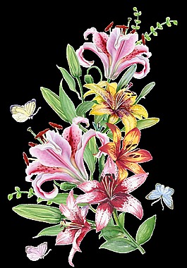 手繪芬香百合花png透明素材