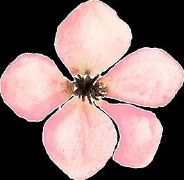 粉色優(yōu)美花瓣卡通透明裝飾素材