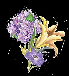 手繪三種美麗的花png透明素材
