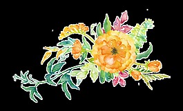 金黄菊花卡通透明装饰素材
