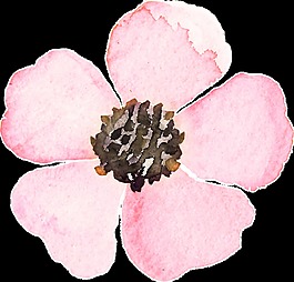 粉色優(yōu)雅花卉卡通透明裝飾素材