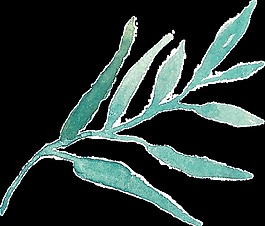 冰绿花叶卡通透明装饰素材