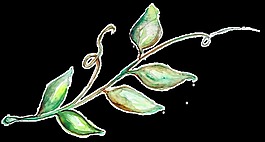 吐心花束卡通透明裝飾素材