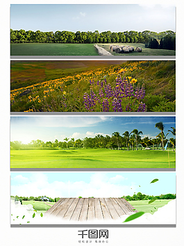 自然草地花海背景banner